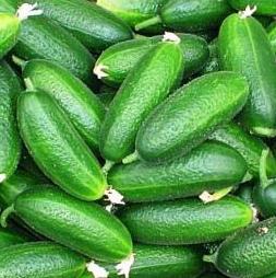 Njemačka kompanija otkupljuje krastavce u Kozarskoj Dubici i Mostaru