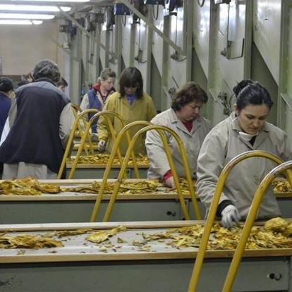 Očekuje se nastavak rasta industrijske proizvodnje u BiH od 4,5 posto