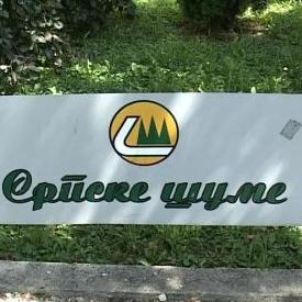 Šume RS: U prva tri mjeseca premašen plan proizvodnje