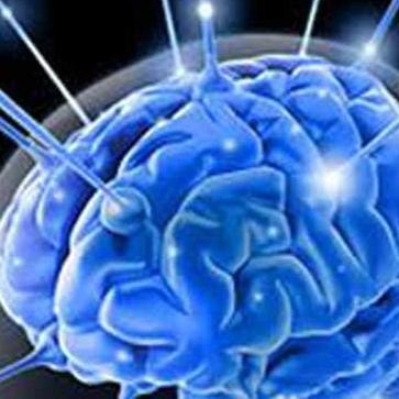 Četiri stvari koje ne znate o mozgu