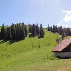 OC Jahorina: Počinje rušenje bespravno izgrađenih objekata