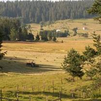 Pripreme za izgradnju etno-sela na Ravnoj Romaniji