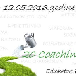 Agencija "Slapovi znanja" organizuje trening "20 Coaching tehnika"