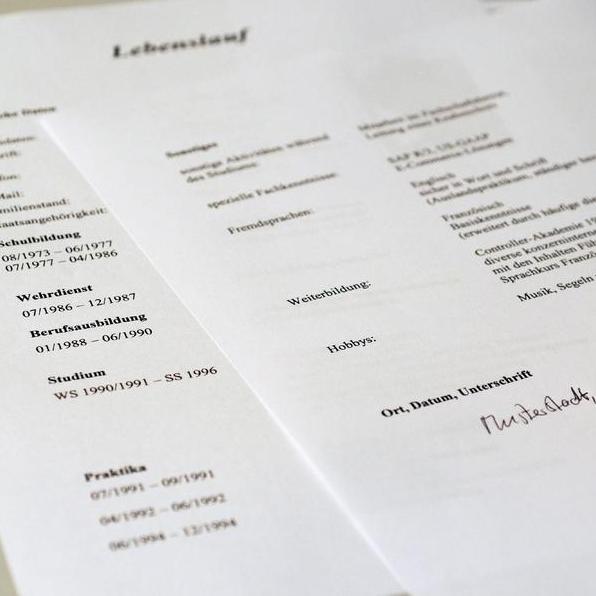 Profesionalan format životopisa stavlja naglasak na formalno obrazovanje