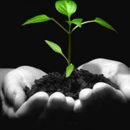 U četvrtak manifestacija obilježavanja svjetskog dana šuma