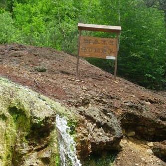 Voda koja liječi: Crni Guber iz Potočara uskoro na ruskom tržištu