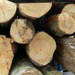 VI Stručna konferencija drvoprerađivača Ljudi, drvo, namještaj 2013