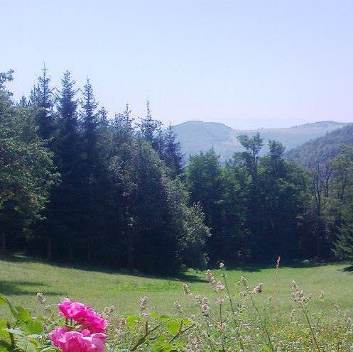 Dan planinara BiH - 2013 u Kaknju 17. i 18. augusta