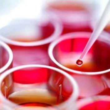 Simpozij: Matične ćelije i njihova terapijska primjena