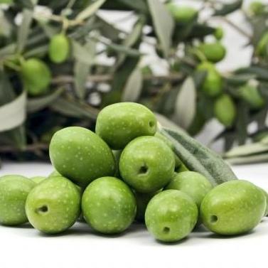 Sud EU-a kaznio Grčku s 250 milijuna eura za maslinarstvo