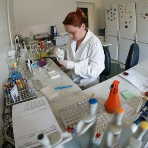 Kozmetika testirana na životinjama u inozemstvu može biti zabranjena u EU