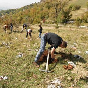 Pripreme za akciju Let's do it – milion sadnica za 1 dan