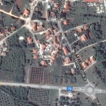 Stabla maslina u Istri ispisala ime predsjednika bivše države