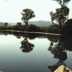 Skup o zaštiti Hutova blata