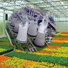 Korištenje pare iz TE Tuzla za rad i razvoj MSP