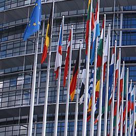 Ulaskom Hrvatske u EU manje zastupnika u Europskom parlamentu