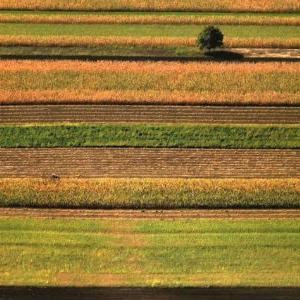 Forum o perspektivama razvoja bh. poljoprivrede u Banjoj Luci