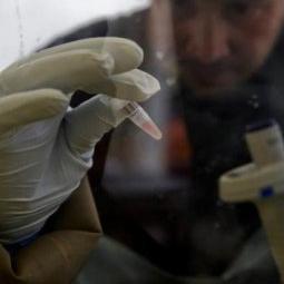 EU u istraživanja ebole ulaže 24,4 milijuna eura