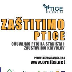 Počinje kampanja zaštite ptica jadranskog migratornog puta