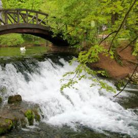 Vrelo Bosne - oaza zelenila i mira: Više posjeta nego prošle godine