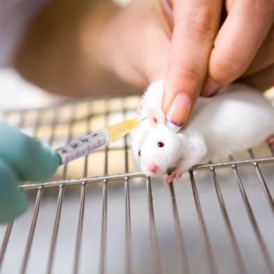 EU zabranila prodaju kozmetičkih proizvoda testiranih na životinjama