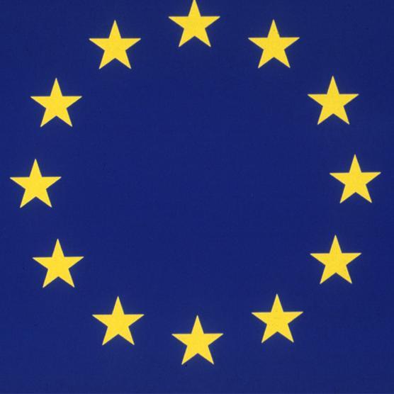 Projektni pristup upravljanja ljudskim potencijalima