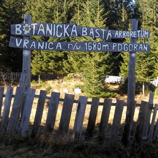 Slika