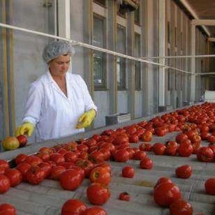Prošlogodišnja vrijednost proizvodnje viša od 2,47 milijardi KM