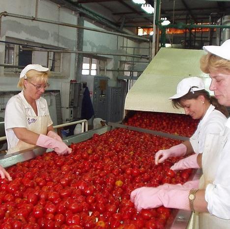 Firma iz Azerbejdžana u Doboju planira graditi fabriku od 30 miliona eura