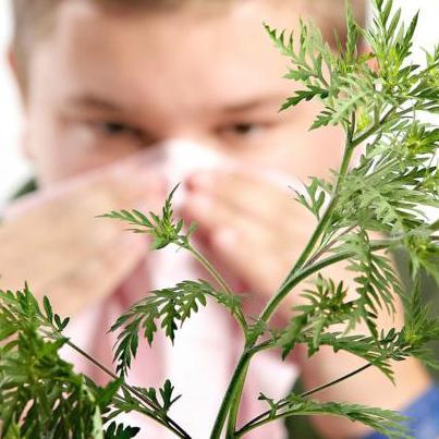 Borba EU-a protiv ambrozije i nutrija