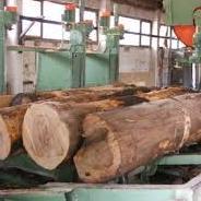 Drvna industrija u BiH permanentno bilježi rast izvoza