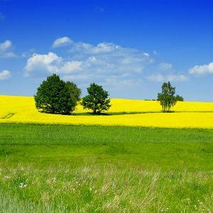 Preko tri miliona KM za ruralni razvoj u TK