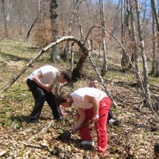 UniCredit Bank organizovala veliku akciju pošumljavanja