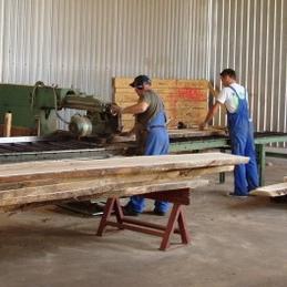 Promocija kataloga drvne industrije