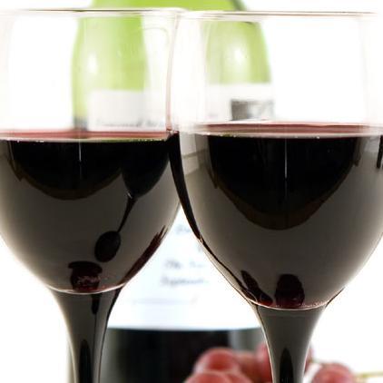 Slovenija ne odustaje od "terana", nema kompromisa