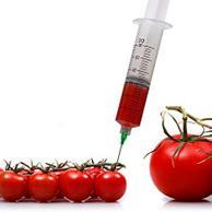 EU daje slobodu državama da uzgajaju ili ne uzgajaju GMO kulture