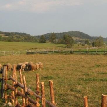 Uskoro projekat etno sela na Ravnoj Romaniji