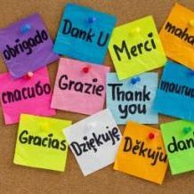 Evropljani ne uče rado strane jezike