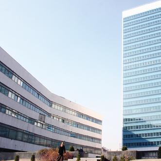 Projekt FAO pomoći poplavljenim