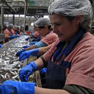 EU daje veće kvote za ribu, vino i šećer