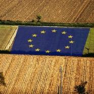 Najbolje prakse EU u prognozno-izvještajnom sistemu u poljoprivredi