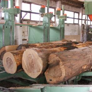 Proizvodnja šumarstva i drvne industrije povećana u odnosu na 2012. godinu