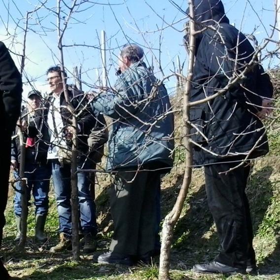 Projekat: Jačanje saradnje između pčelara i voćara