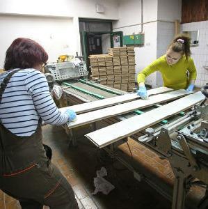 Industrijska proizvodnja u EU u prosincu pala, u Hrvatskoj porasla