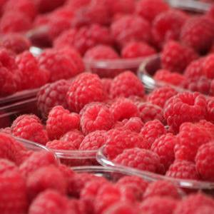 Poziv za učešće na edukaciji: Tržište i proizvodnja maline