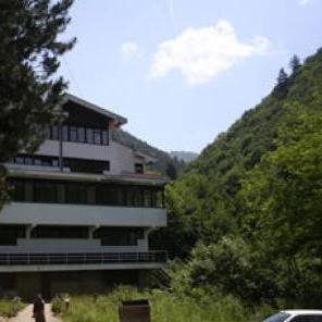 Srebrenica očekuje reaktiviranje pogona za proizvodnju peleta