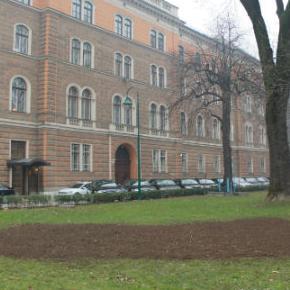 "Park" tulipanima iz Turske uređuje zelene površine u Kantonu Sarajevo