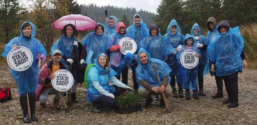 holdina akcija pošumljavanja