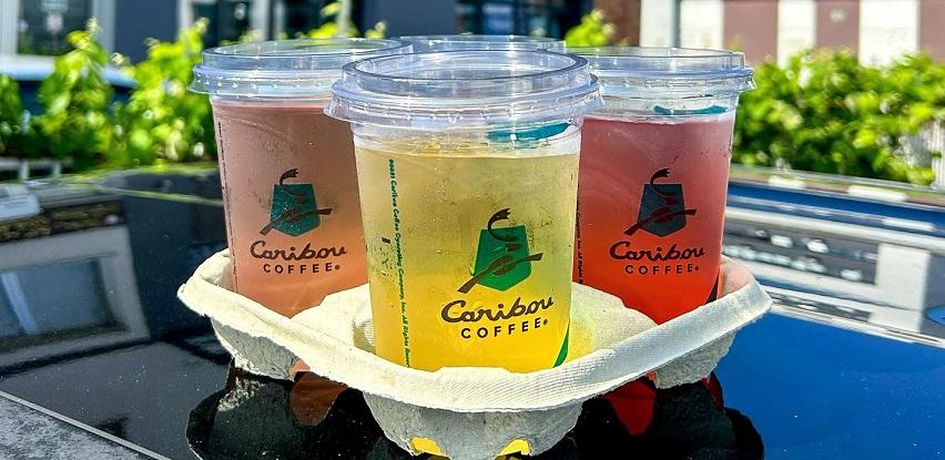 caribou coffee iced tea to go osvježenje