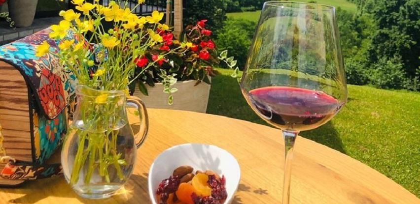 Vino merlot, crno vino za početnike i vinoljupce